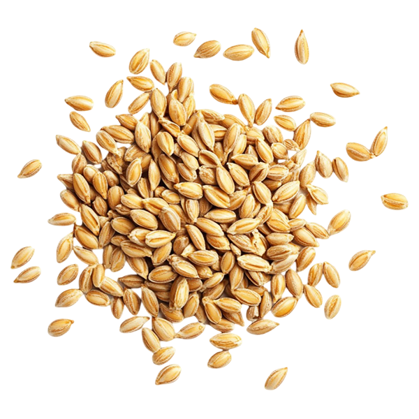 imagen cereales